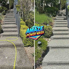 Professional-Pressure-Washing-and-Window-Cleaning-in-Bellevue-WA 1